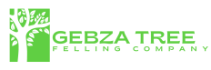 Gebza Tree Felling